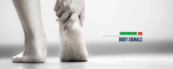 Body Signals: Theo dõi tín hiệu sức khỏe